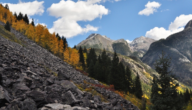 the scenery along the Animas River